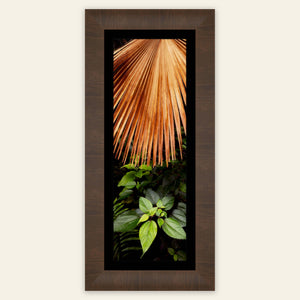 A framed Limahuli Garden picture from Kauai.