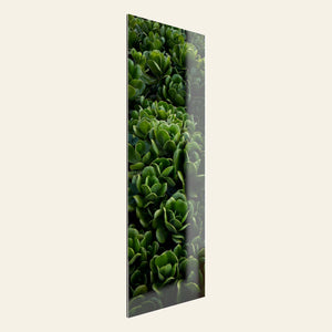 A TruLife acrylic Kauai plants picture.