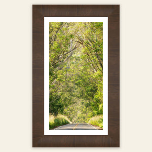 A framed picture of the Tree Tunnel on Kauai.