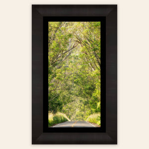 A framed picture of the Tree Tunnel on Kauai.