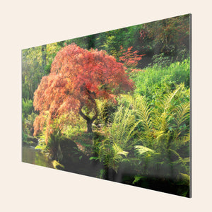 A TruLife acrylic piece of Seattle wall art shows a Japanese maple tree picture at Kubota Garden.