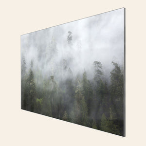 A piece of TruLife acrylic Washington wall art shows the Lake Quinault rainforest.