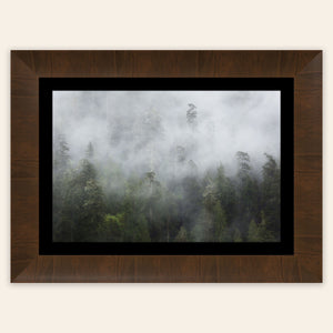 A piece of framed Washington wall art shows the Lake Quinault rainforest.