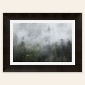 A piece of framed Washington wall art shows the Lake Quinault rainforest.