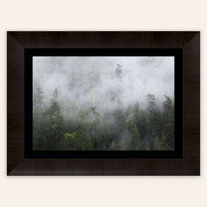 A piece of framed Washington wall art shows the Lake Quinault rainforest.