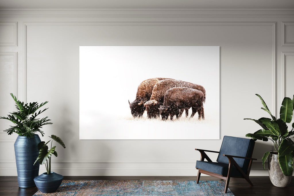 A piece of large wall art showing a bison photo hangs in a living room.