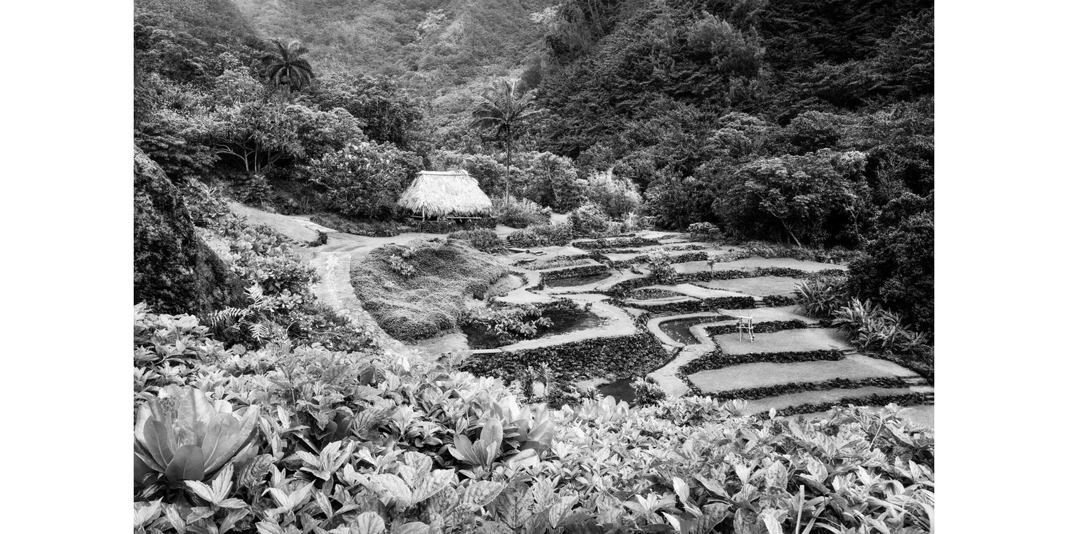 A black and white picture from Limahuli Garden on Kauai.