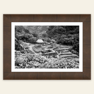 A framed black and white picture from Limahuli Garden on Kauai.