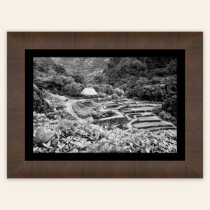 A framed black and white picture from Limahuli Garden on Kauai.