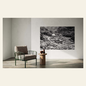A black and white picture from Limahuli Garden on Kauai hangs in a living room.