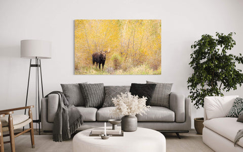 A picture of a moose during peak fall colors in Grand Teton National Park hangs in a living room.