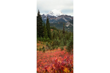 This piece of Seattle art shows the Mount Rainier fall colors.