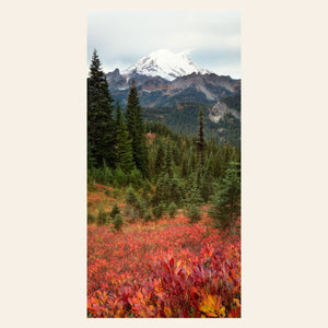 This piece of Seattle wall art shows the Mount Rainier fall colors.