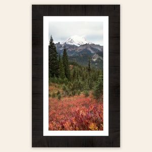 This framed piece of Seattle wall art shows the Mount Rainier fall colors.