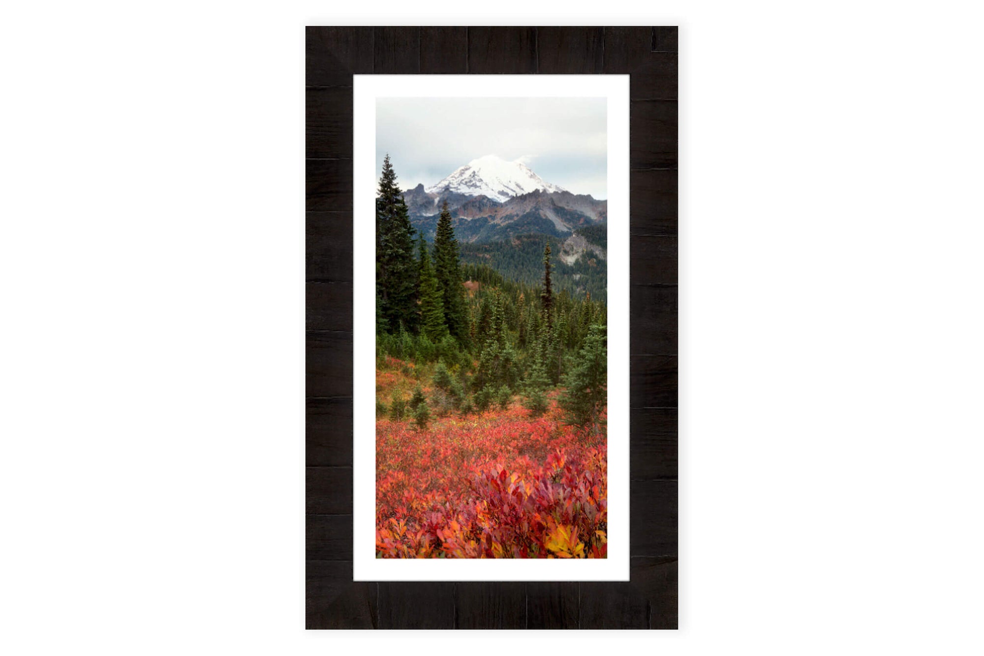 A piece of framed Seattle art shows the Mount Rainier fall colors.