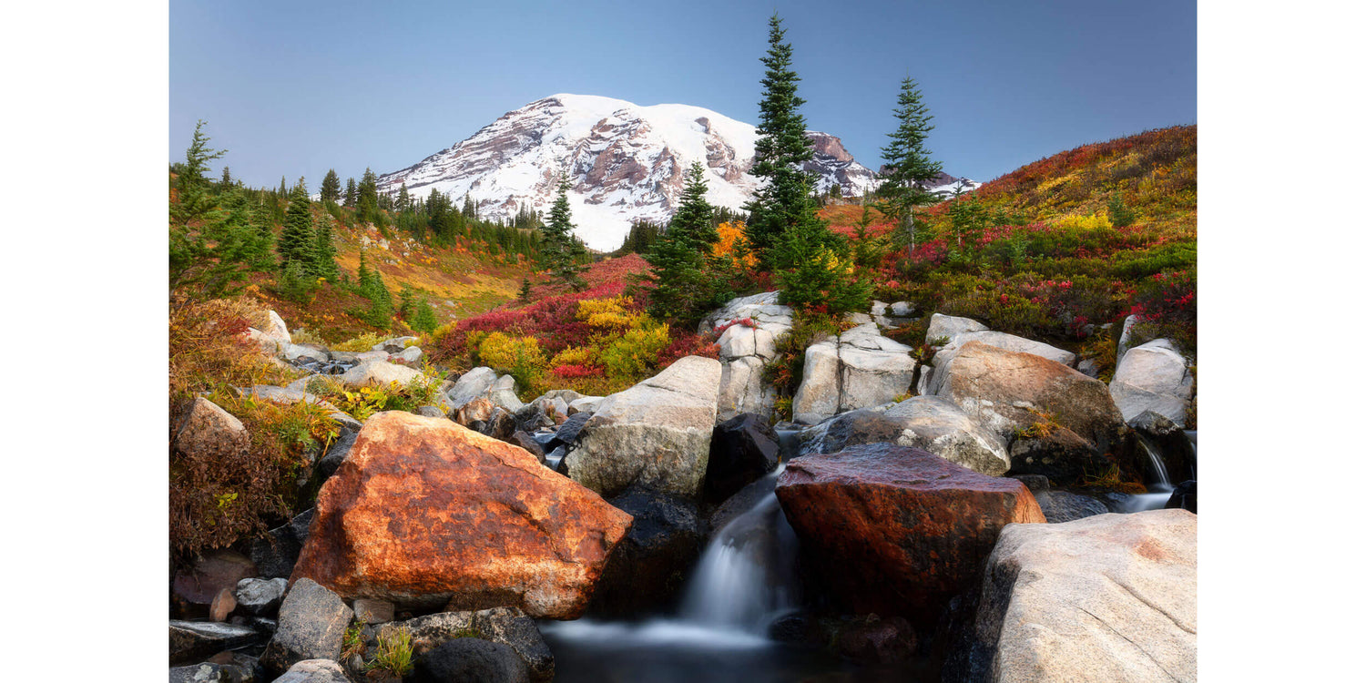 A Mount Rainier fall colors picture from the Paradise area.