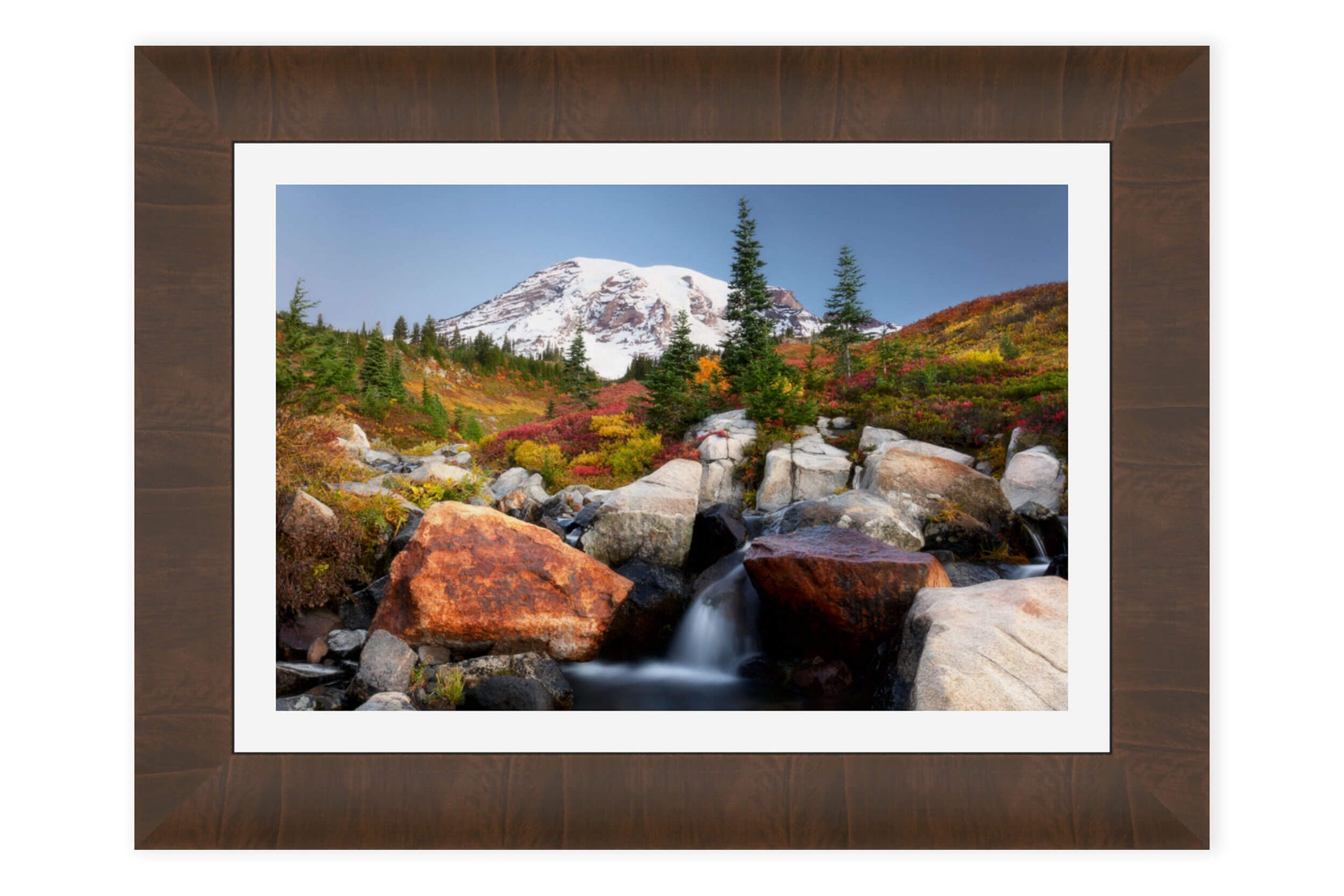 A framed Mount Rainier fall colors picture from the Paradise area.