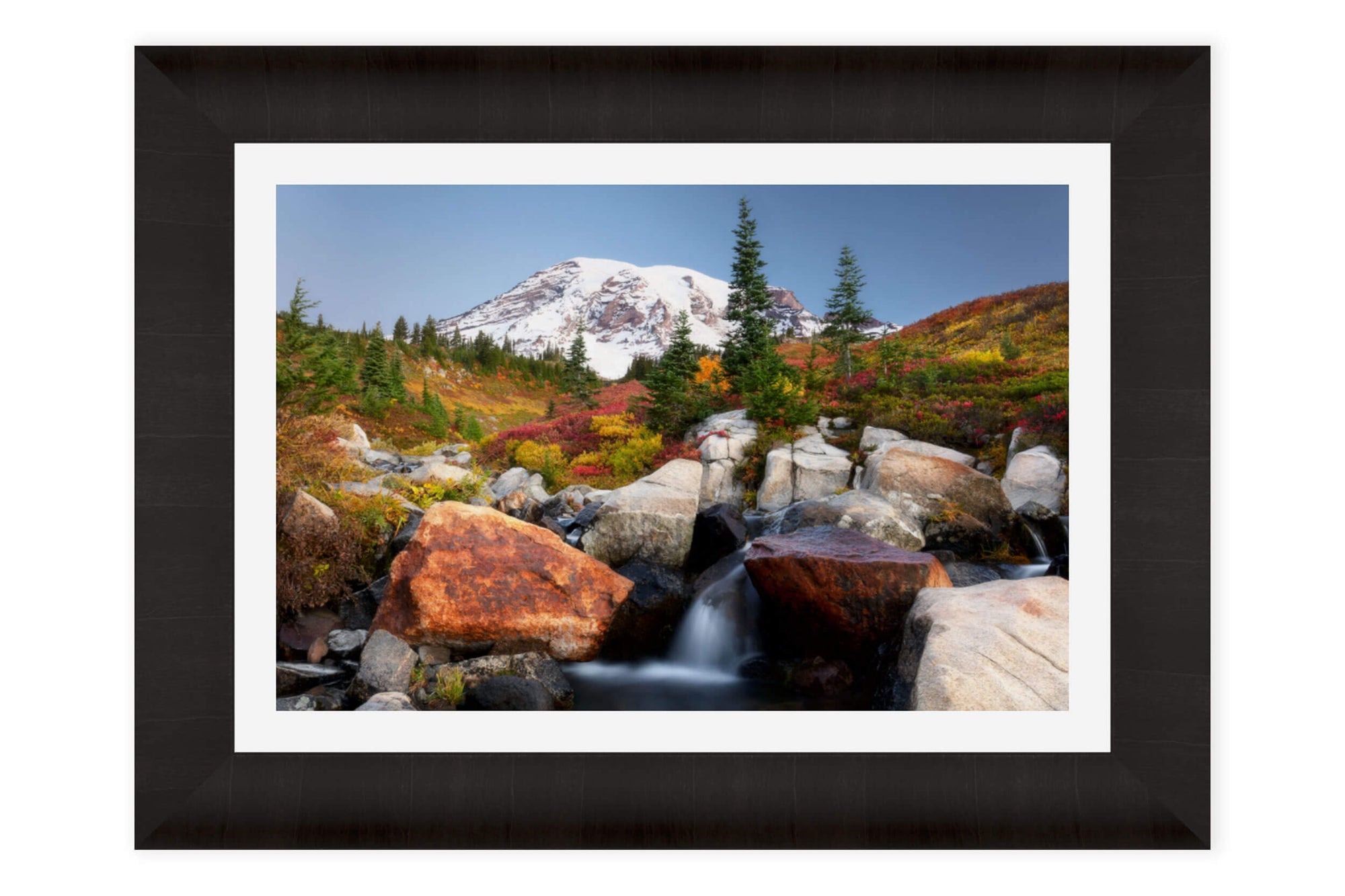 A framed Mount Rainier fall colors picture from the Paradise area.