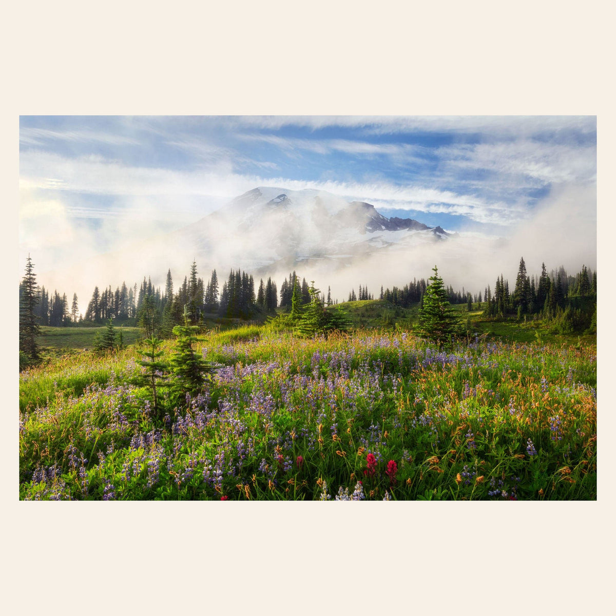 A piece of Mount Rainier art shows a wildflower photo at Paradise.