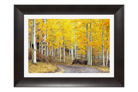 A framed Colorado fall colors picture from Owl Creek Pass.