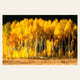 A piece of Colorado art shows a photo of the fall colors on Owl Creek Pass.