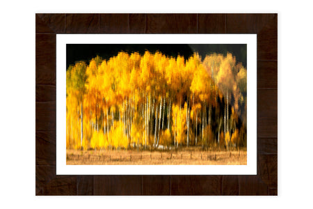 A framed picture of fall colors on Owl Creek Pass reflected on Rowdy Lake.