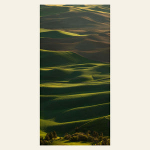 A fine art nature photography print shows a Palouse picture.