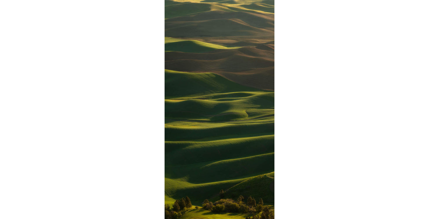 A fine art nature photography print shows a Palouse picture.