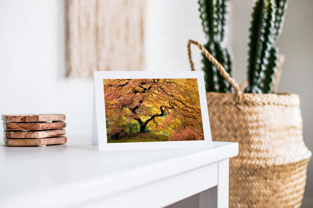 Beautiful photography greeting cards featuring nature and landscape images