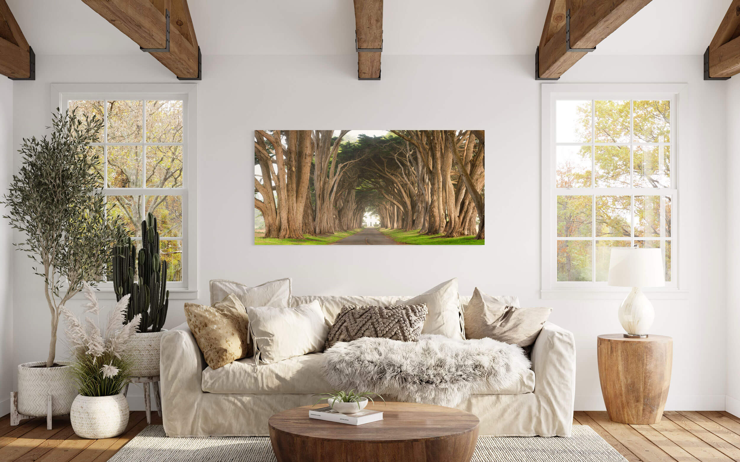 A Point Reyes cypress tree tunnel picture hangs in a living room.