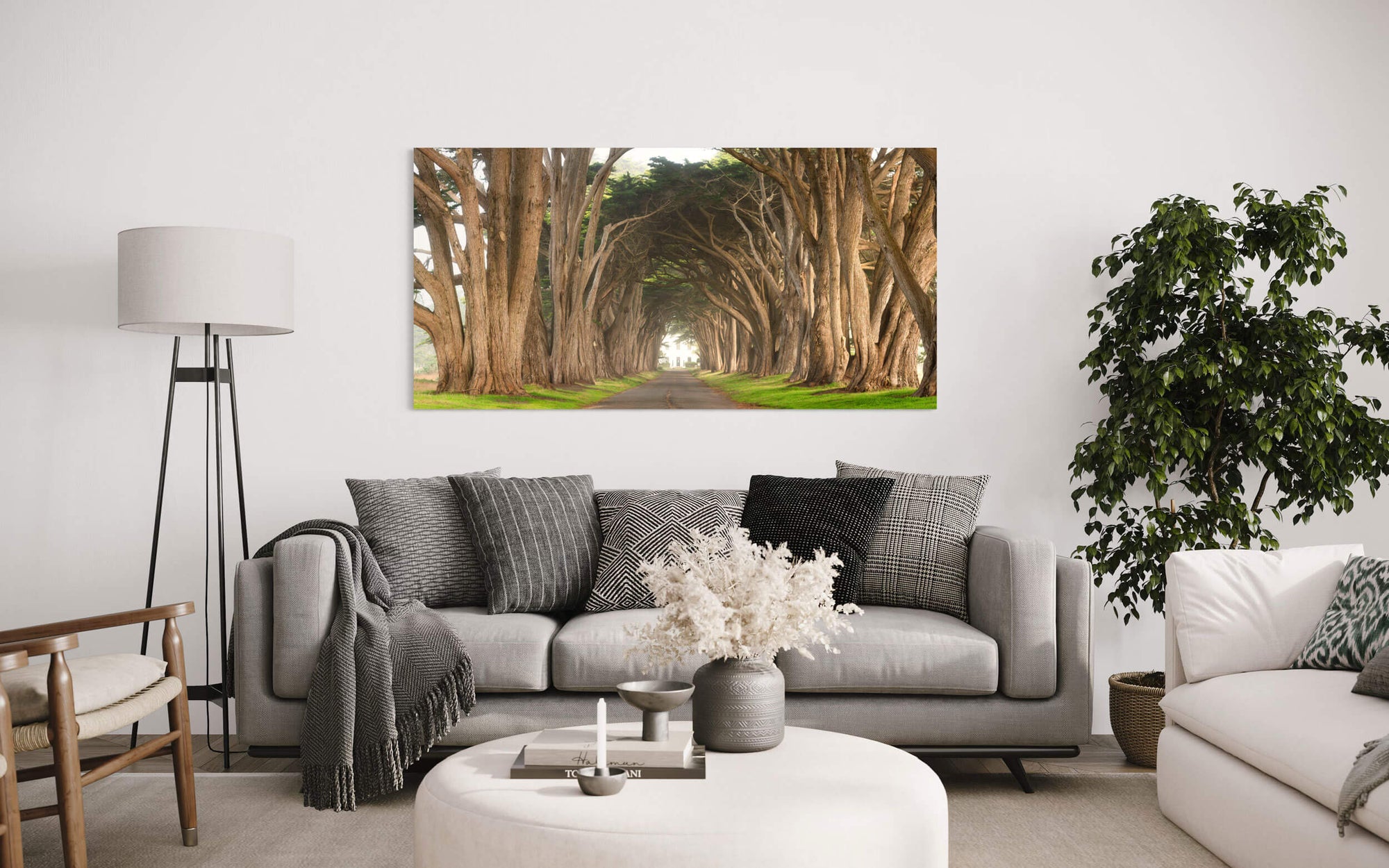 A Point Reyes cypress tree tunnel picture hangs in a living room.