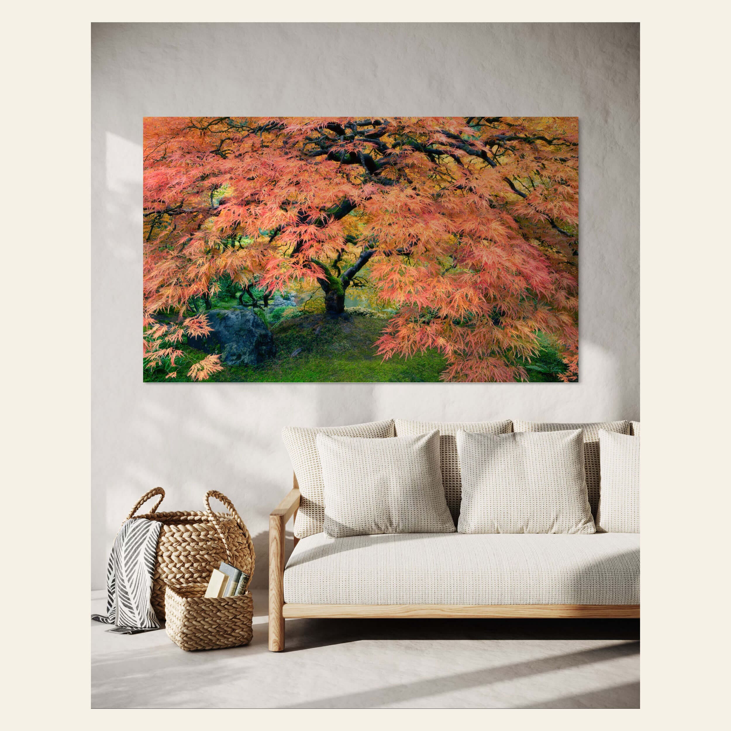 A fine art nature photography print showing the famous maple at Portland Japanese Garden in fall hangs in a living room.