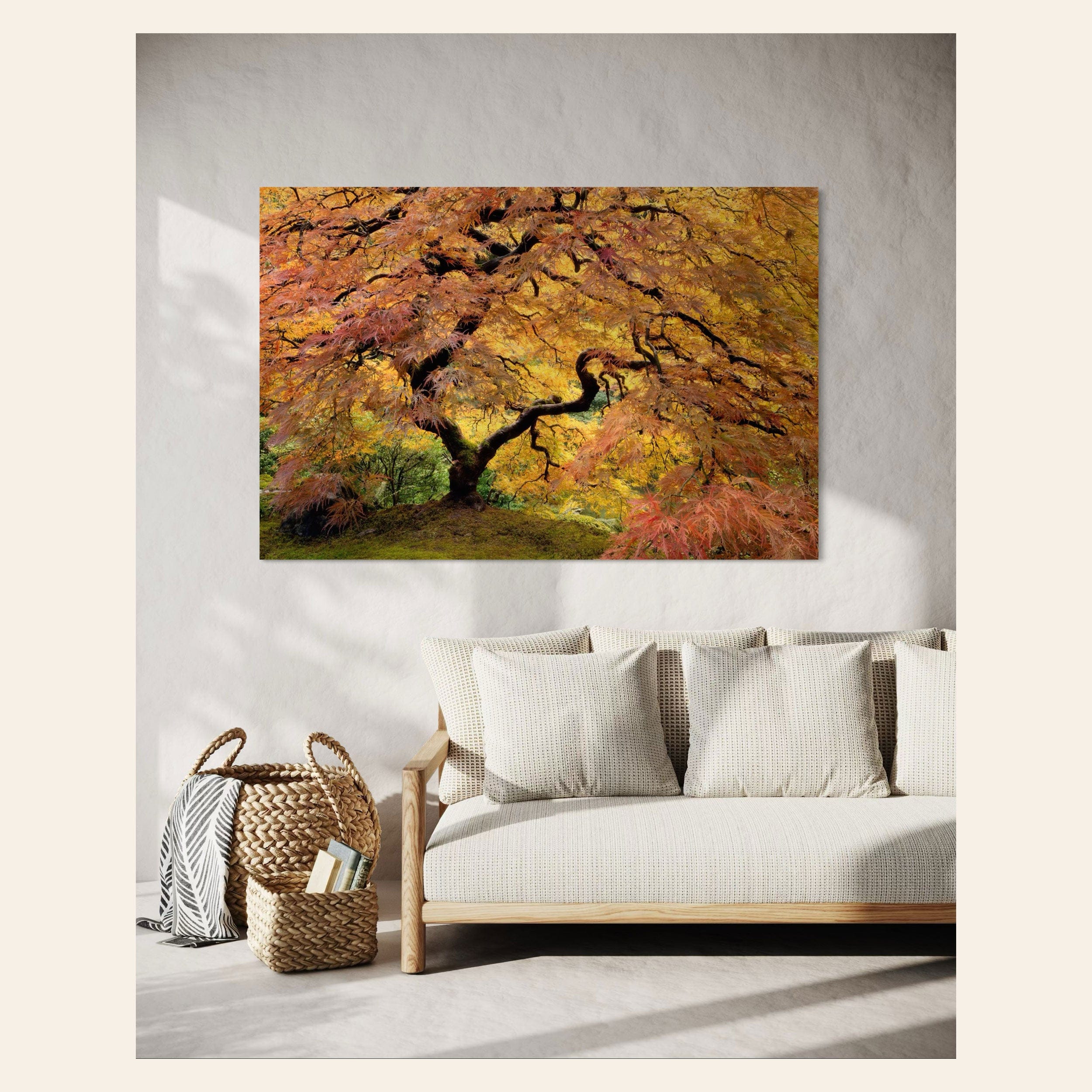 This large wall art showing a Japanese Maple picture of the famous one in the Portland Japanese Garden hangs in a living room.