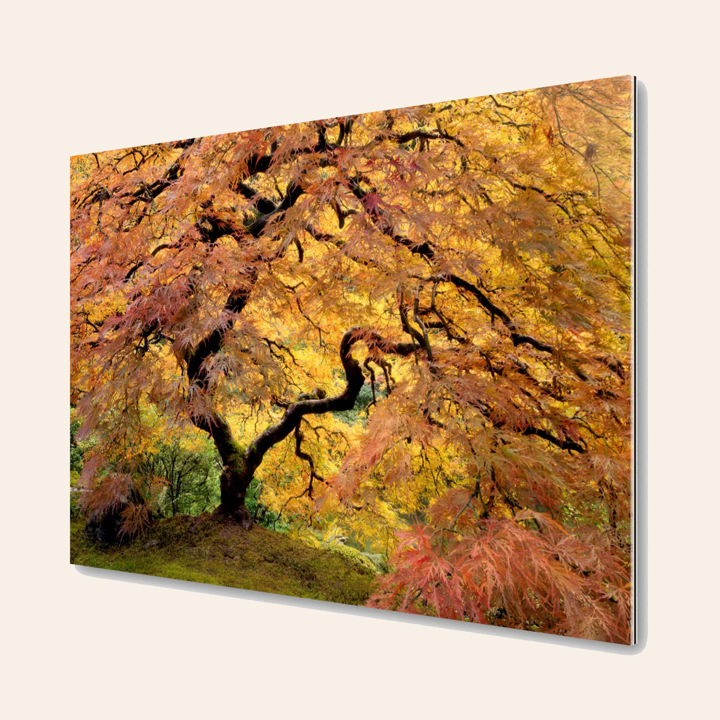 Paintings Trees Japanese