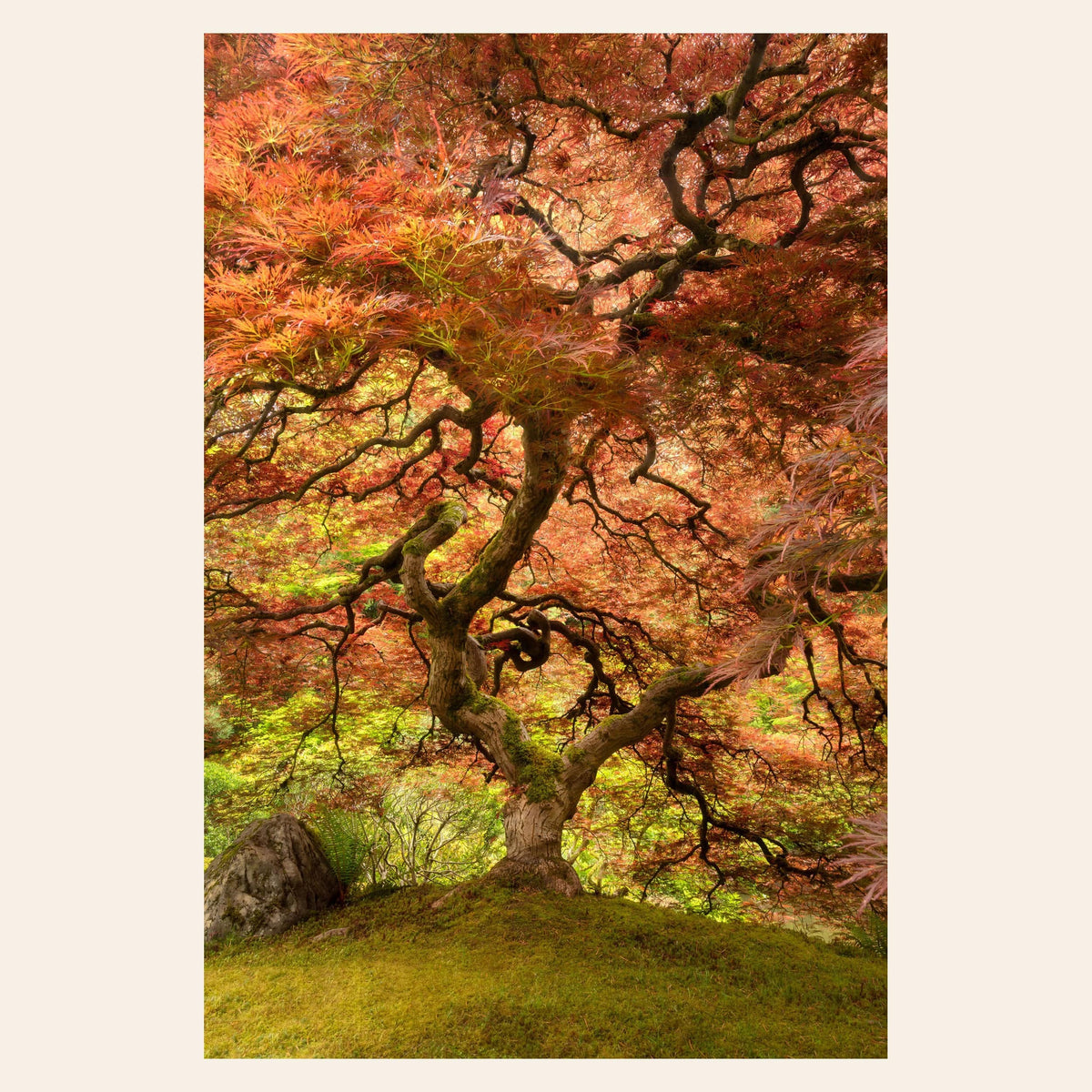 A piece of Japanese wall art shows a photo of the famous maple tree in the Portland Japanese Garden.