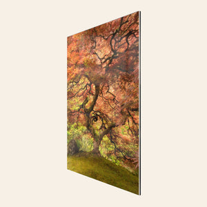 A TruLife acrylic piece of Japanese wall art shows the maple tree in the Portland Japanese Garden.