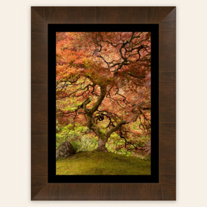 A framed piece of Japanese wall art shows the maple tree in the Portland Japanese Garden.