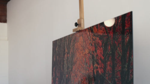 This video shows West Seattle artist Lars Gesing's fine art photograph of the fall colors at Rockwood Farm.