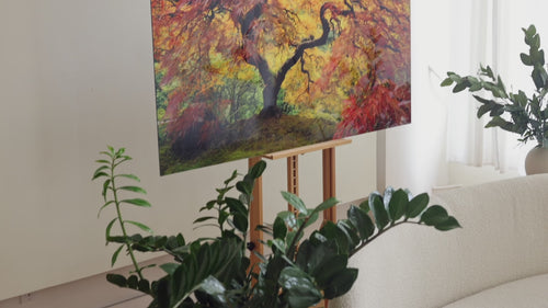 This video shows the Japanese maple tree artwork GUARDIAN ANGEL of West Seattle artist Lars Gesing.