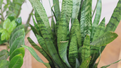 This video shows the Window Effect of Lars Gesing's Moulton Falls photo.