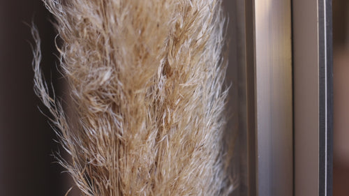 Lars Gesing's Kauai artwork of a Kapaa sunrise.