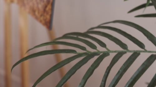 Video of Lars Gesing's Hawaii water artwork CALRITY.