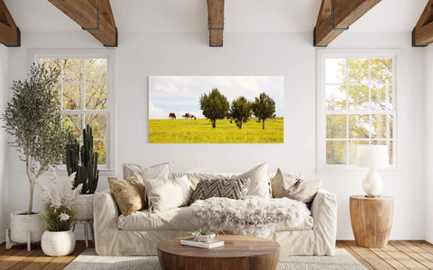 A Colorado horse picture taken in Rifle hangs in a living room.