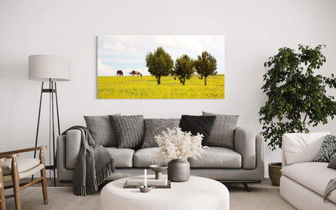 A Colorado horse picture taken in Rifle hangs in a living room.