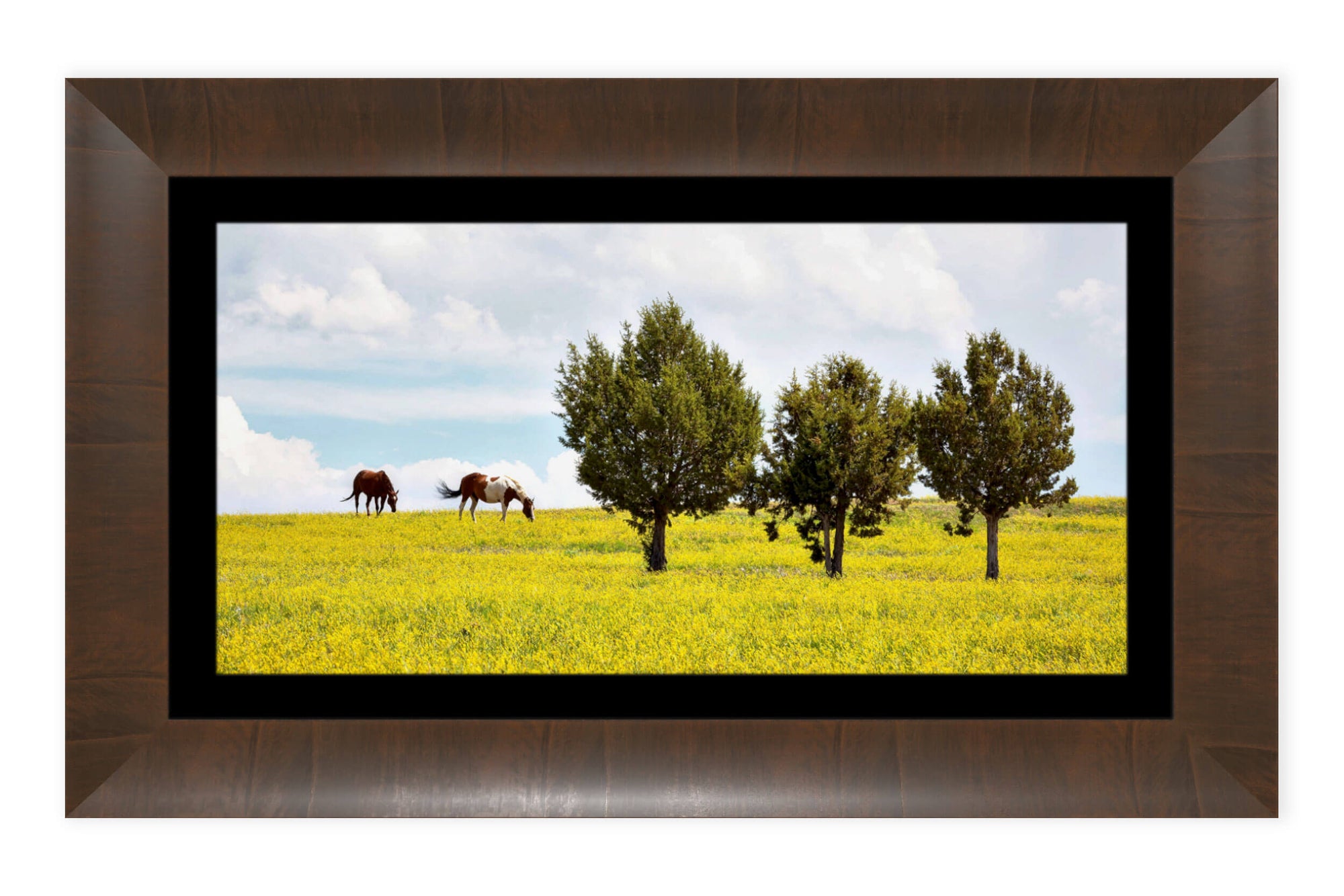 A framed Colorado horse picture taken in Rifle.