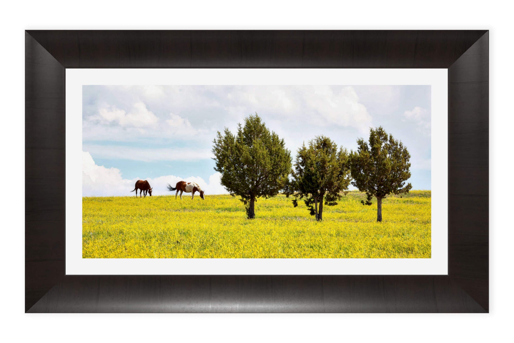 A framed Colorado horse picture taken in Rifle.