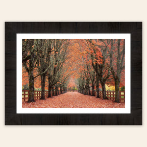 A framed piece of Seattle art shows fall at the Rockwood Farm.