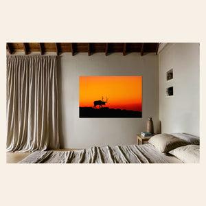 A piece of Rocky Mountain National Park art showing an elk hangs in a bedroom.