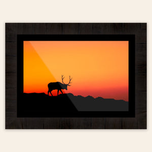 A piece of framed Rocky Mountain National Park art shows an elk.