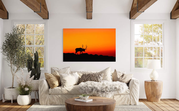Rocky Mountain National Park Art: SOLITARY Elk Rut
